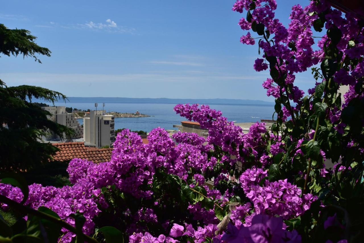 Apartments Dobrinic Makarska Esterno foto