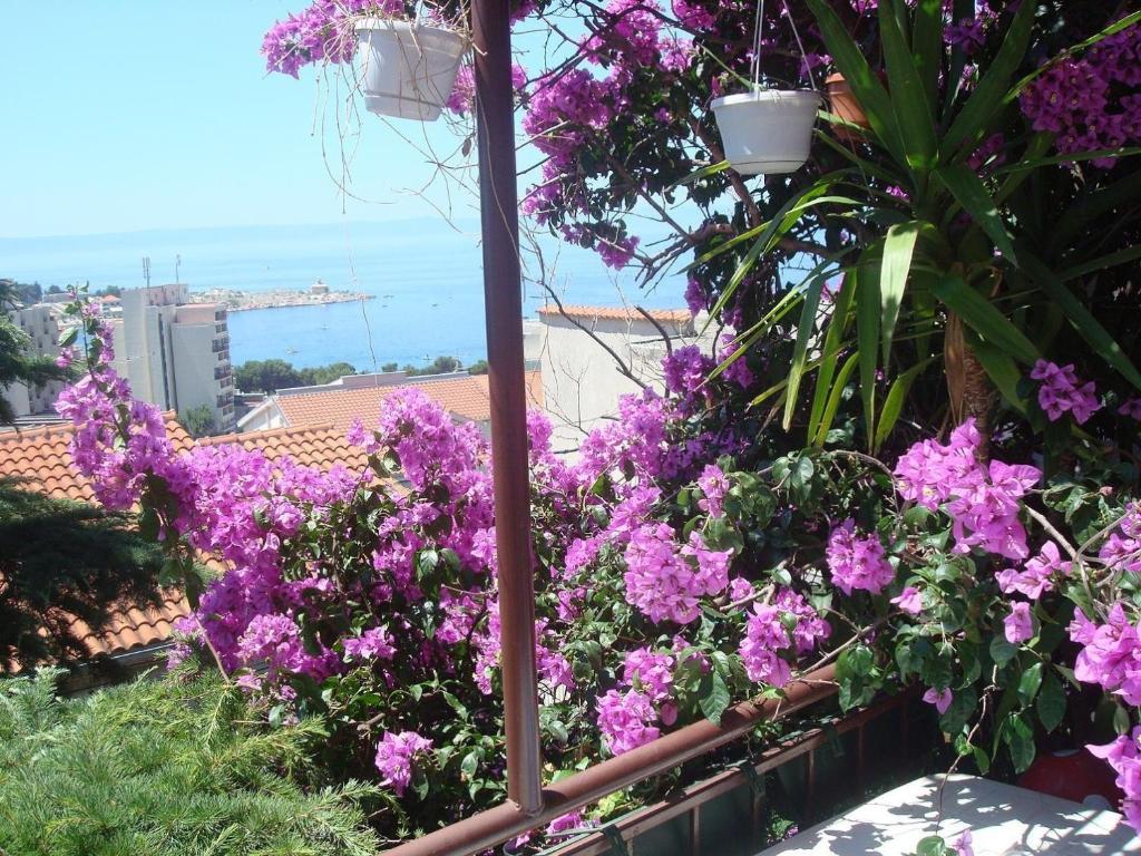 Apartments Dobrinic Makarska Esterno foto